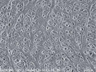 捷力新能源 鋰離子電池隔膜