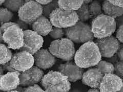 桑頓新能源SM11動(dòng)力型