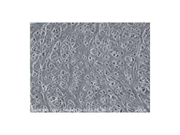 捷力新能源 消費電子用鋰離子電池隔膜 J-GP-CU20/16/12M