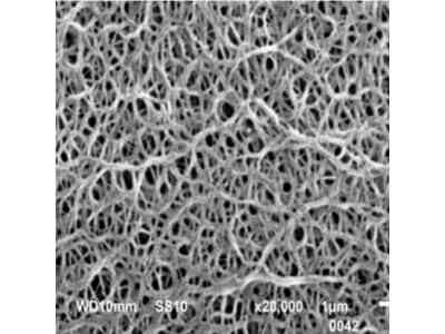 恩捷新材濕法雙向拉伸鋰電隔膜