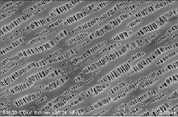 PP單層復合隔膜