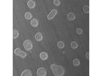 衡川科技PVDF噴涂層